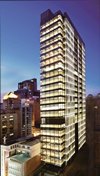The Cameron